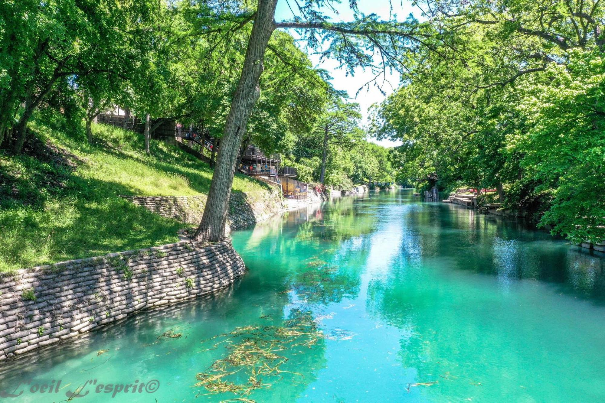 The Iron Cactus Condo On The Comal Cw C102 New Braunfels Kültér fotó
